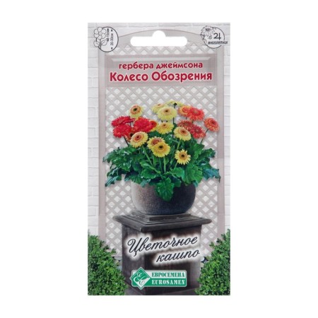 Gerbera Jameson flowers "Ferris wheel", 3 pcs