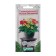 Gerbera Jameson flowers "Ferris wheel", 3 pcs