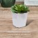 Pot for seedlings, 250 ml, d = 7 cm, h = 8 cm, white