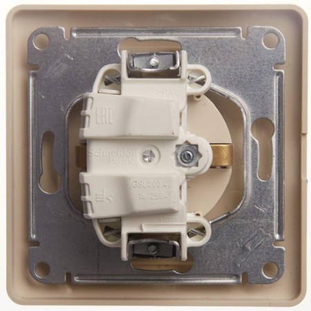 Schel000246 Glossa, SP, IP20-1