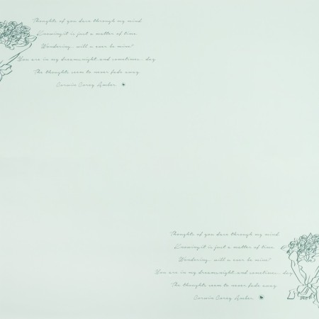 Film sheets 57x57cm, "Thoughts about you..", Green, 65 microns-2