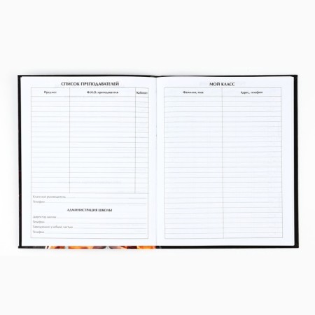 School diary for grade 1-11, in an integrated cover, 40 l. "Extreme Football"-1