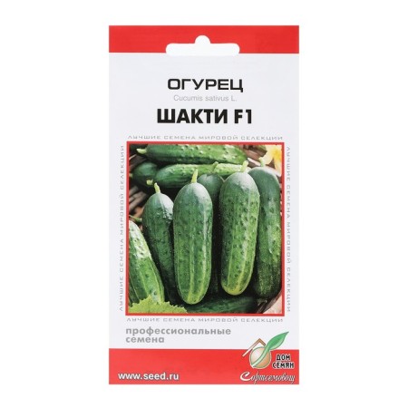Cucumber seeds "Shakti", F1, 6 pcs