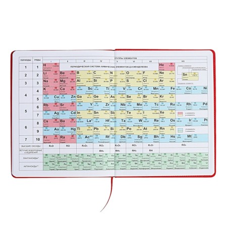 The universal diary for the 1-11 classes "Anime", a solid cover made of artificial leather, application, lies, 48 ​​sheets, red-15