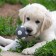 Bruttail toy for dogs from latex "Football", 7 cm, gray