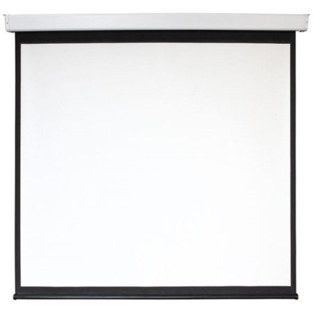 Screen 180x180 cm, Digis Electra-F Dsef-1105, 1: 1, wall-flow, roll, drive-1