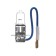 Lamp automobile automobile vehicle H3, 12 V, 55 W, PK22S