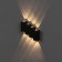 Facade lamp "Ray", FSD-012, 8 W, 3000K, 4 rays, IP65, 220 V, metal, black