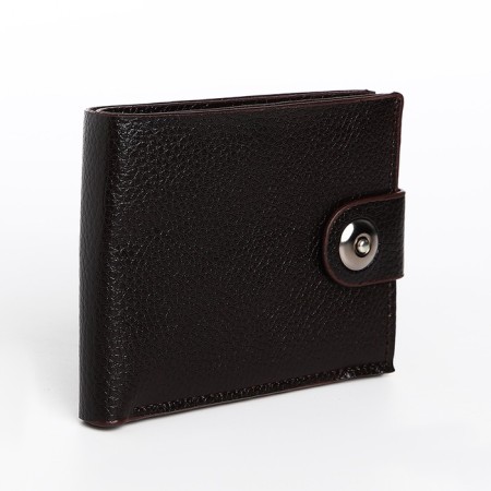 Male purse on a magnet, department for bills, for maps, brown color