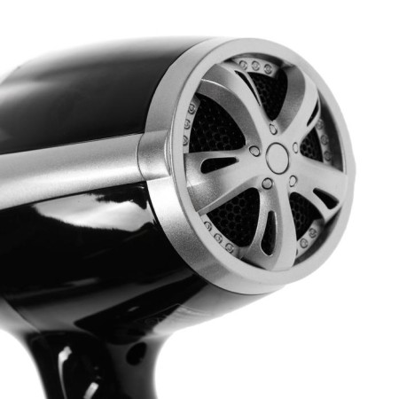Feng Sakura SA-4046BK, 1600 W, 2 speeds, 3 temperature conditions, silver-black-2