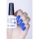 Solomeya Color Gel Morpho Gellax, 8.5 ml