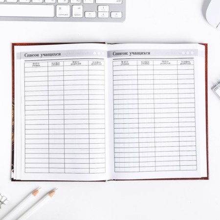 Diary “Teacher: Teacher Diary”, firm cover cardboard 7BC, A5 format, 160 sheets-6