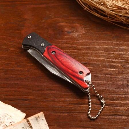 Folding "hunter" 15.8 cm, blade 72mm/1.8 mm, with a chain-1