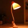 Highway lamp 16700/1PK E27 15W Direct pink Risalux
