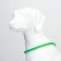 Collar - backlight ring, charging from USB, up to 70 cm, 3 glow modes, green