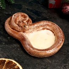 Подставка для мелочей "Змея" коричневая, 16х2,5см
