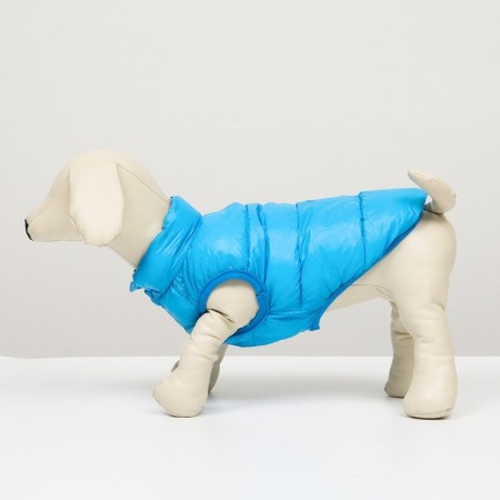 Dog jacket two -sided with print, size 10 (DS 25 cm, OG 34 cm, Osh 24 cm), Blue-3