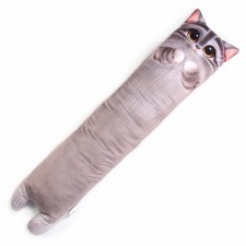 Cat Asseting toy 