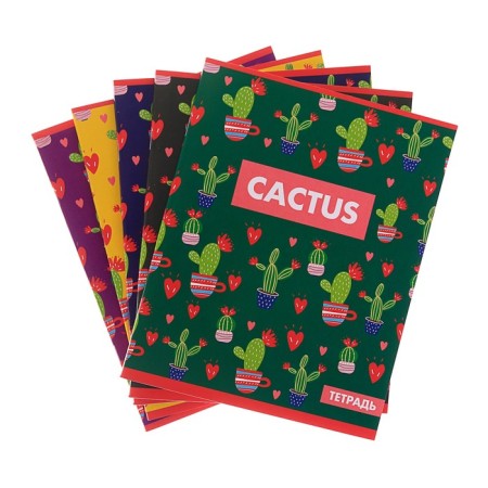 Notebook of 48 sheets in Calligrata Cactus cage, cover covering cardboard, offset unit, mix-2