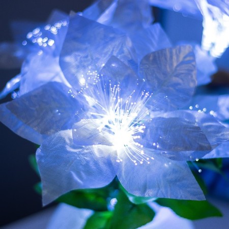 Night Poansettia 9XLED 4000X STRISHY 15X15X40cm RISALUX-3
