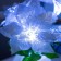 Night Poansettia 9XLED 4000X STRISHY 15X15X40cm RISALUX