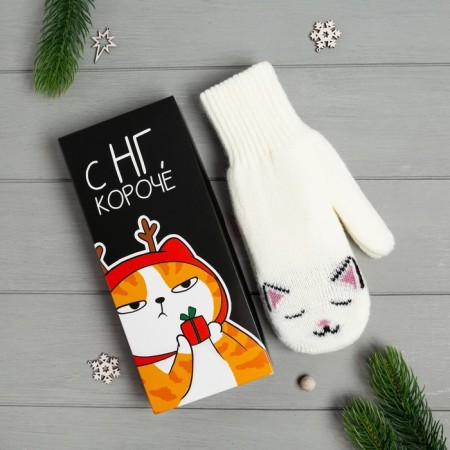 Women's mittens in a gift box "C NG" p.19