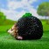 Garden figure "Hedgehog with God's cow" New 24x18x17cm