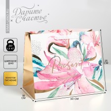 Gift laminated package, packaging, “Present”, 30.5 x 25.5 x 18 cm