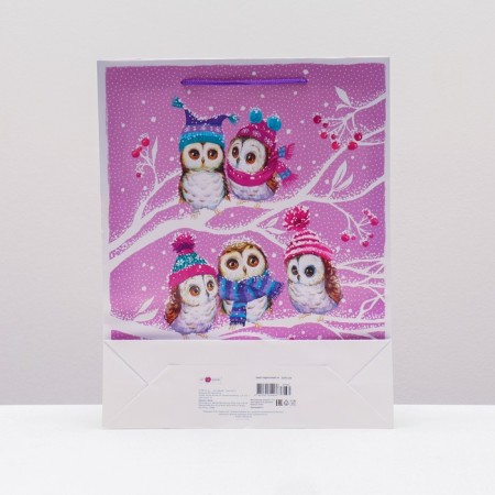 Gift Package "Tender Owls", 33 x 42.5 x 10 cm-1