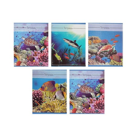 Notebook of 36 sheets in the Calligrata Ocean cage, covered paper cover, block No. 2, whiteness 75% (gray sheets), mix