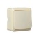 Luazon Lighting "League" switch, 10 A, 1 key, invoice, beige