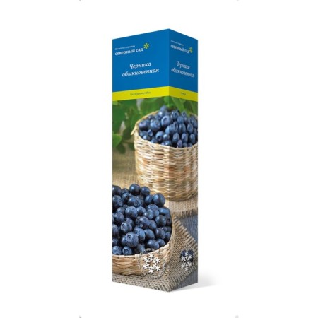 Common blueberries (series North Garden), 1 pc, tube, spring 2025-3