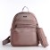 A backpack with a zipper, 5 outer pockets, pencil case, powder color