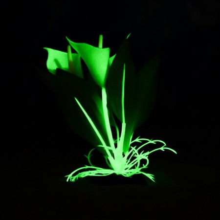 The plant is artificial aquarium, luminous, 10 cm, green-4