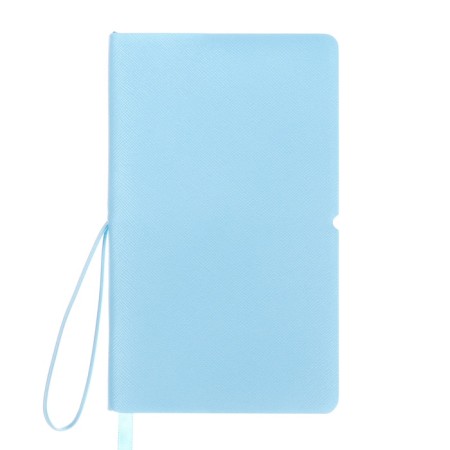PROVINARY NOT LEARNED, 80 sheets, 100x170 mm, Devente.Jane, soft cover of PVC, elastic band, perforation, liesse, block 70%, blue-1