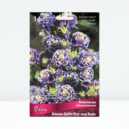 Aquilegia Ordinary Winks Dubl BLU End White, Rr. I, 1 pc, Spring 2025