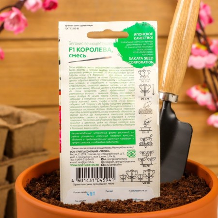 Bogony flowers "Queen", F1, forever flowering, terry, mixture, granules, 4 pcs-3