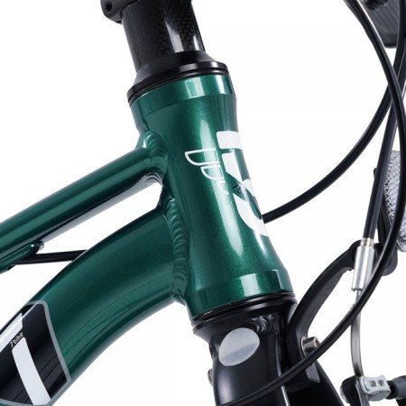 Bicycle 20 ’’ maxiscoo 7bike m200, emerald color-4
