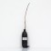 Actinidia argut "Issei", 1 pc, tube, spring 2025