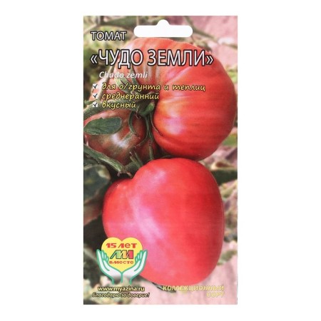 Seed Tomat "Miracle of the Earth", 5 pcs