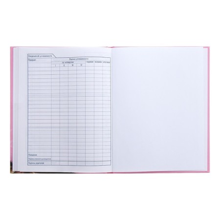 Universal diary for grades 1-11 Milashka, hard cover, matte lamination, 3D foil, 40 sheets-8