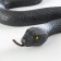 Rubber snake "Black Mamba"