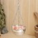 Grass and Himalayan salt bowl suspended with a dispenser d = 12cm, v = 0.4l