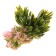 Aquarium artificial aquarium plant on a stone stand, 14 x 11 x 7 cm