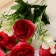 Bouquet "Rosa Ivetta" 4x28 cm, mix