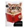 Reading Diary of 48 sheets "Scientific Cat", cover Cross -up cardboard