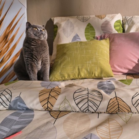Bed linen "Ethel" Euro Foliage 200*217 cm, 220*240 cm, 70*70 cm -2 pcs, calico-9