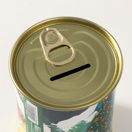 Pigger Bank Metal "New Year is...."-4
