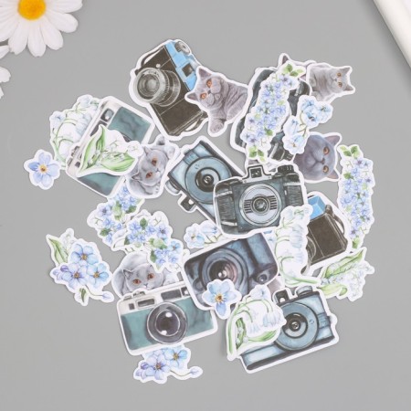 Stickers for creativity "Cats, blue flowers and photos" 3.5x5 cm set 40 pcs 9.4x8.4x0.5 cm-3