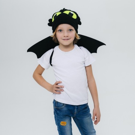 Carnival set of "Dragosha": wings and hat-3